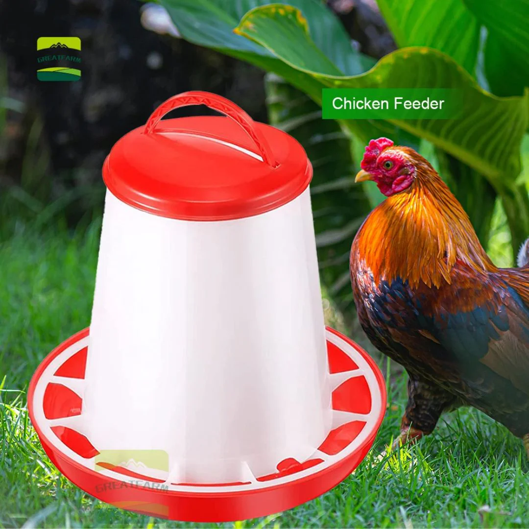 Top Selling Automatic 1.5kg Chicken Feeder and Drinker New Plastic Poultry Feeder Drink for Chicken thumbnail 3